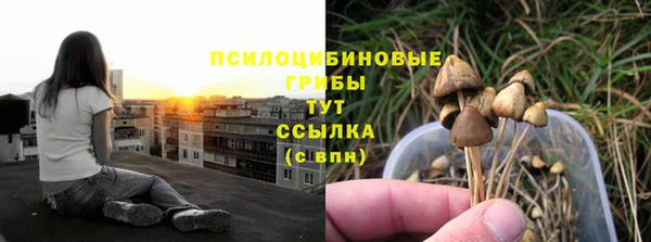 хмурый Каменск-Шахтинский