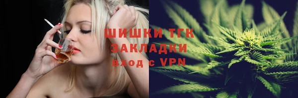 стаф Инта