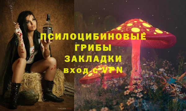 спиды Инсар