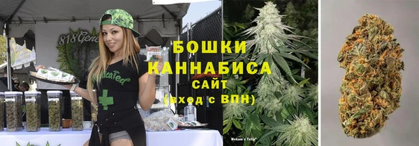 стаф Инта