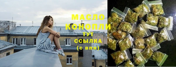 МДПВ Каменногорск