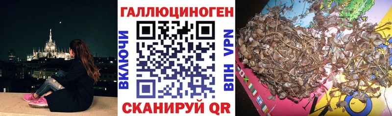 Псилоцибиновые грибы MAGIC MUSHROOMS Дятьково